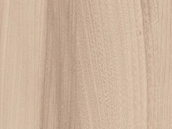 R37001_Ulme Baron.jpg